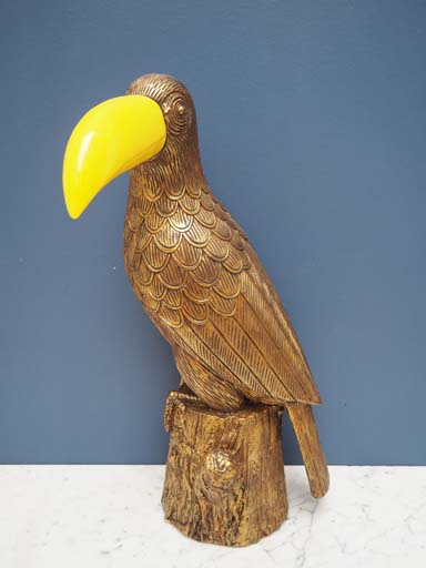 Golden tacoon with yellow beak