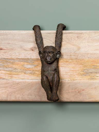 Hanging monkey