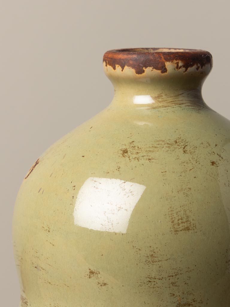 Vase bulles lichen - 3