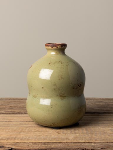 Bubbles vase lichen