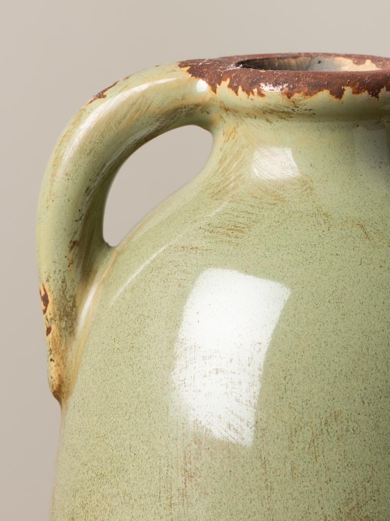 Double handle vase lichen - 4