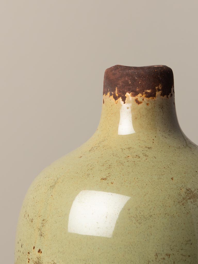 Small vase lichen - 3