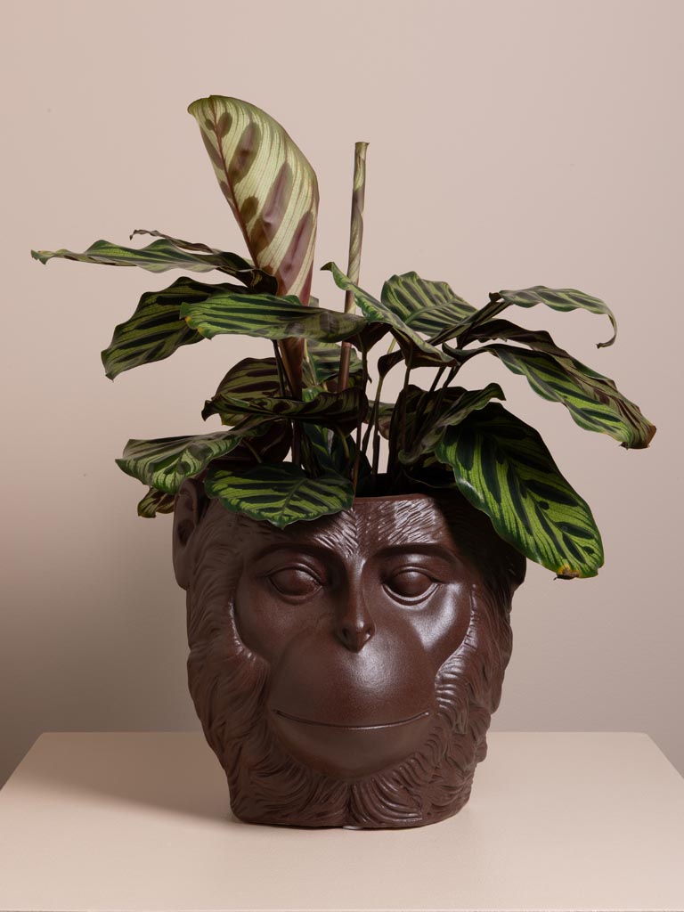 Grand vase Primate - 1