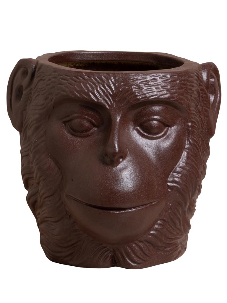 Vase Primate - 2