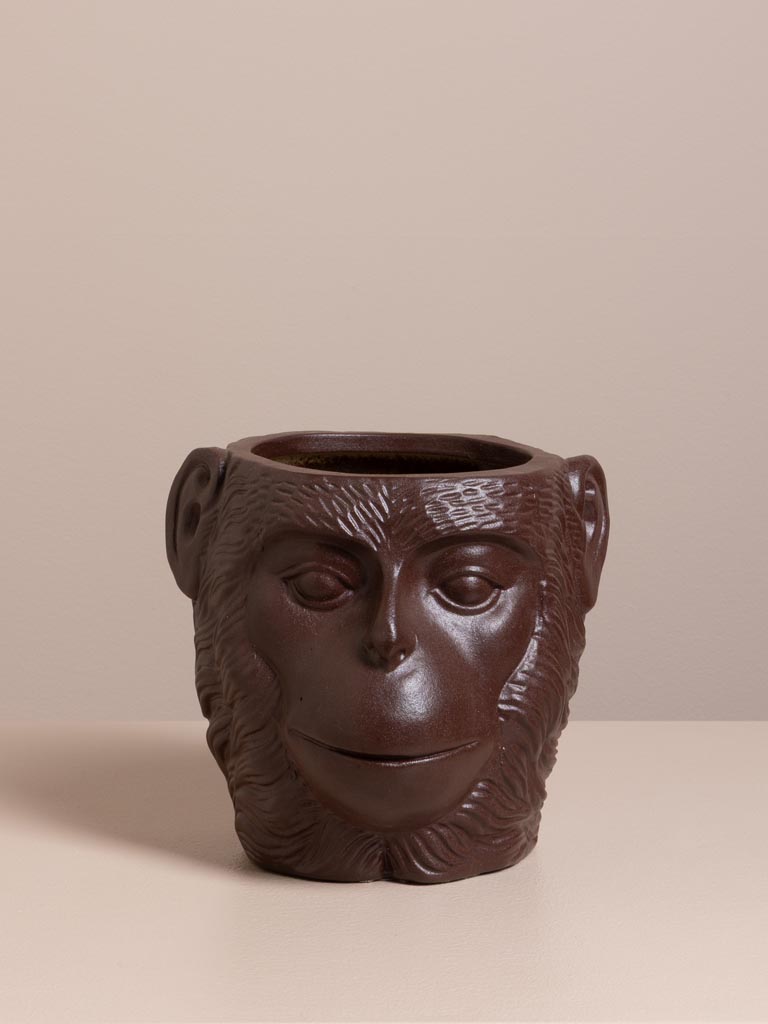 Vase Primate - 1