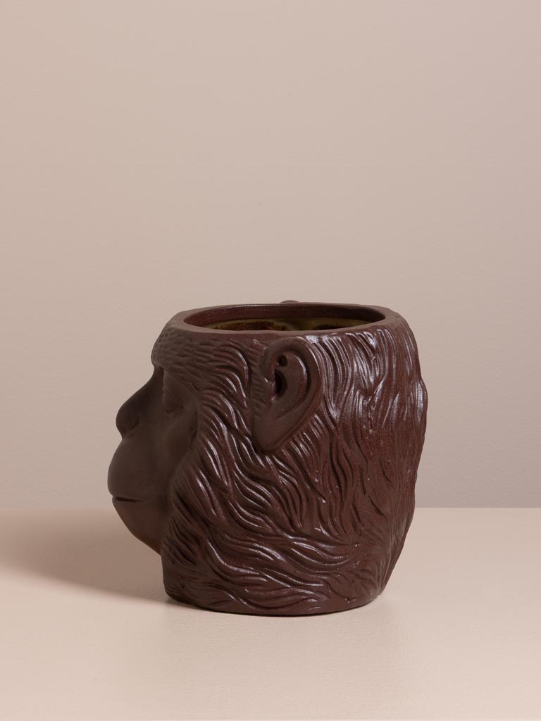 Vase Primate - 5