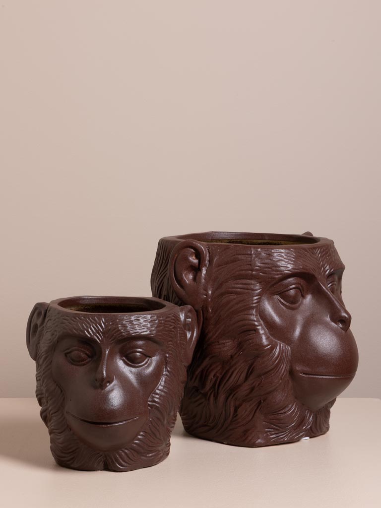 Vase Primate - 4