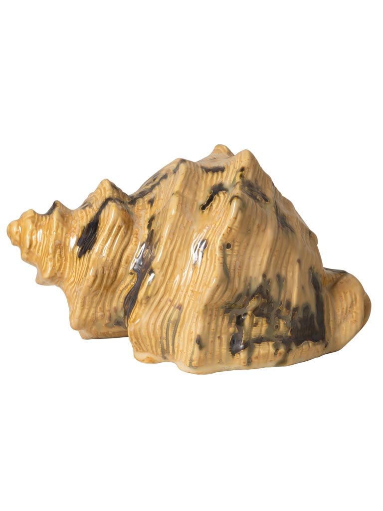 Beige shell - 2