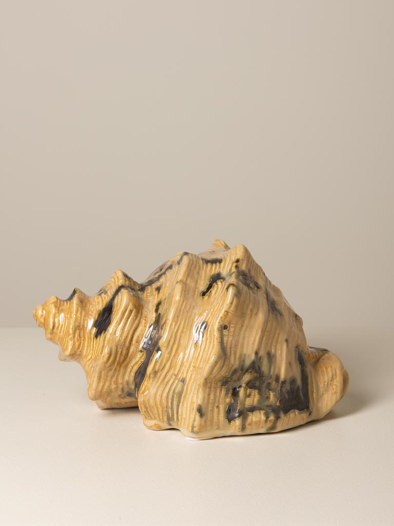 Beige shell - 1