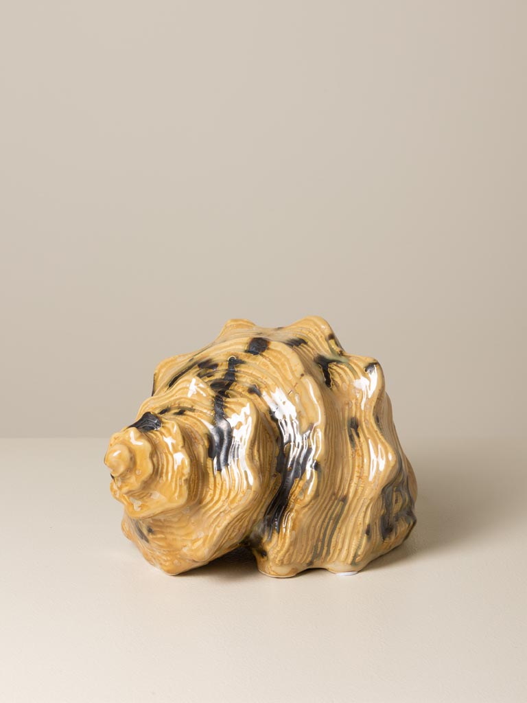 Beige shell - 3
