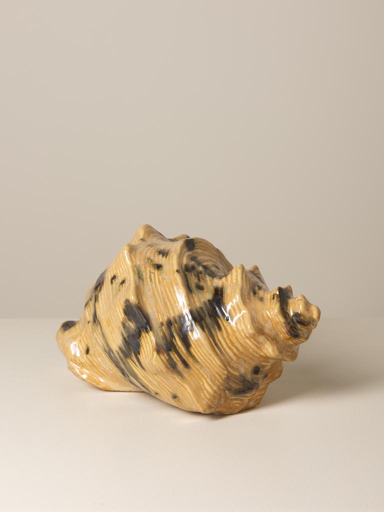 Beige shell - 5