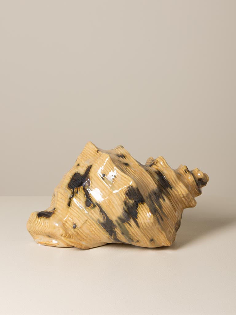 Beige shell - 4