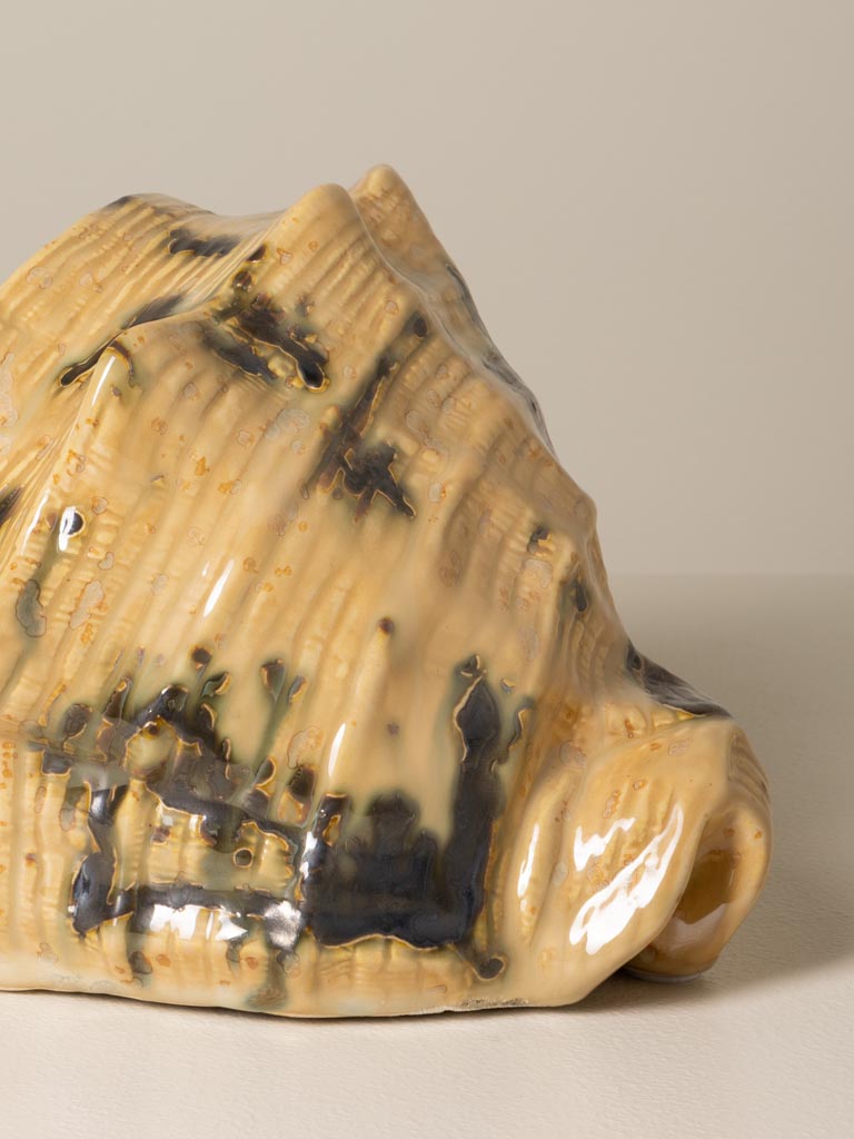 Beige shell - 6