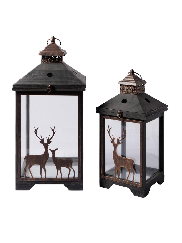 S/2 lanterns Cervidae - 2