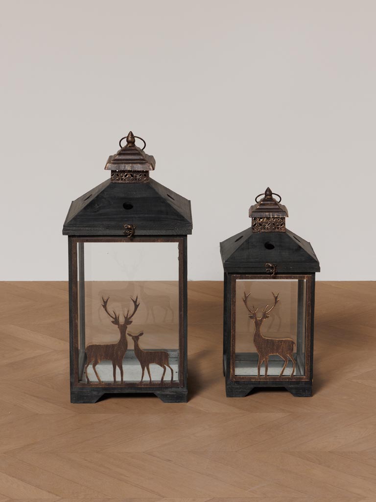 S/2 lanterns Cervidae - 3