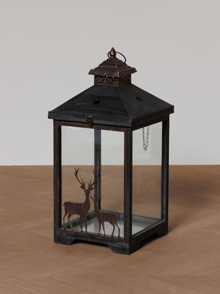 S/2 lanterns Cervidae - 5