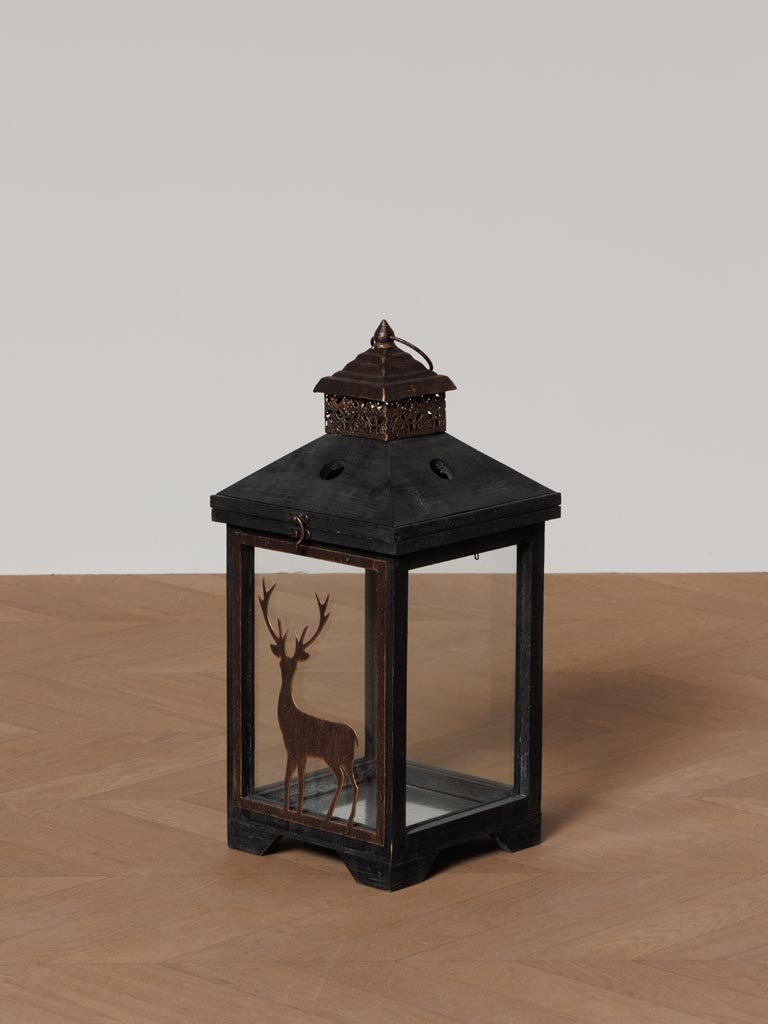 S/2 lanterns Cervidae - 4