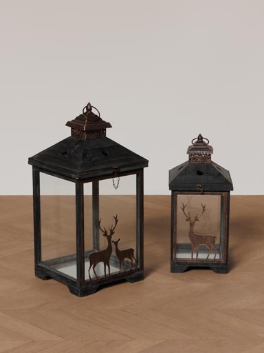 S/2 lanterns Cervidae