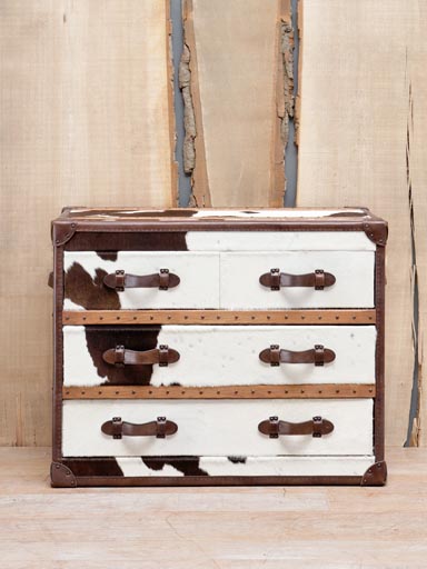 Medium chest brown cow