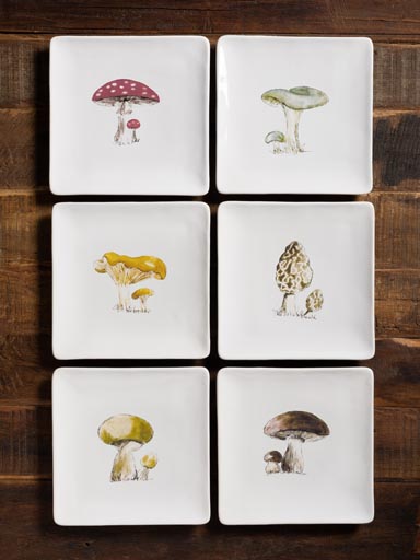 S/6 Mushrooms presentation plates - AF CAROUGE