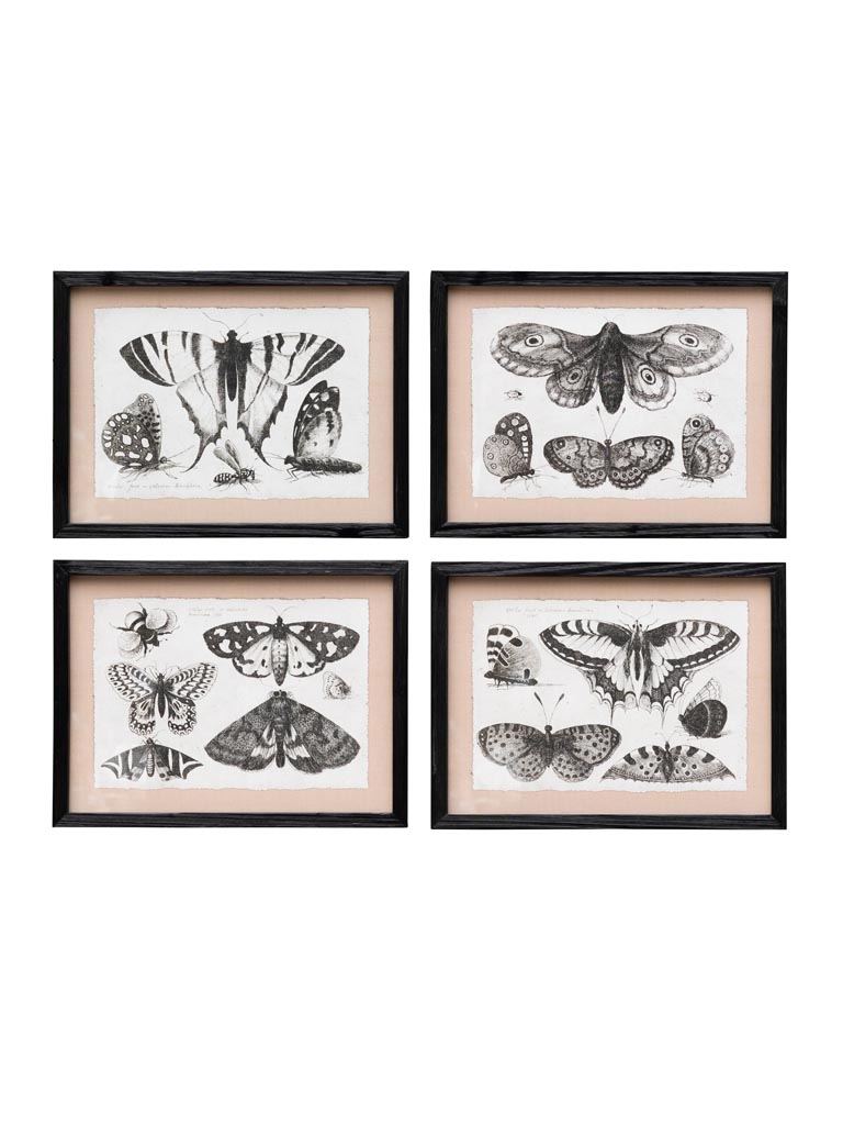 S/4 butterflies frames - 2