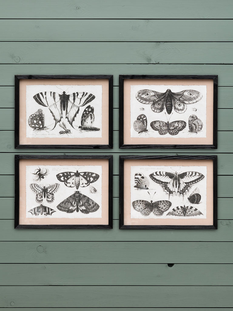 S/4 butterflies frames - 1