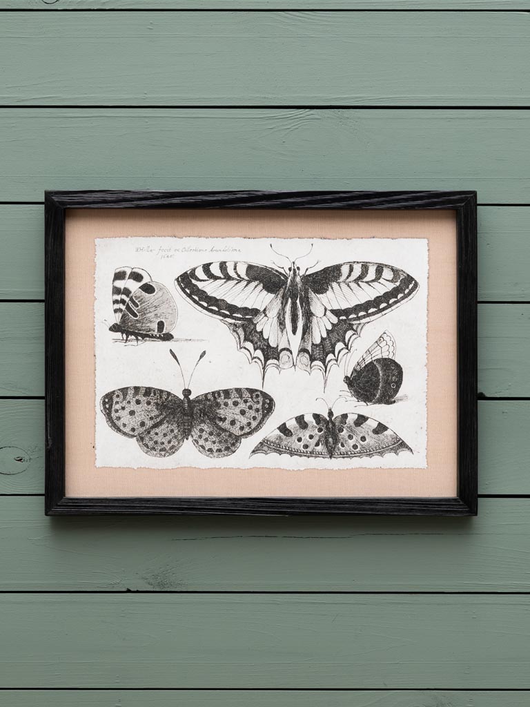 S/4 butterflies frames - 3