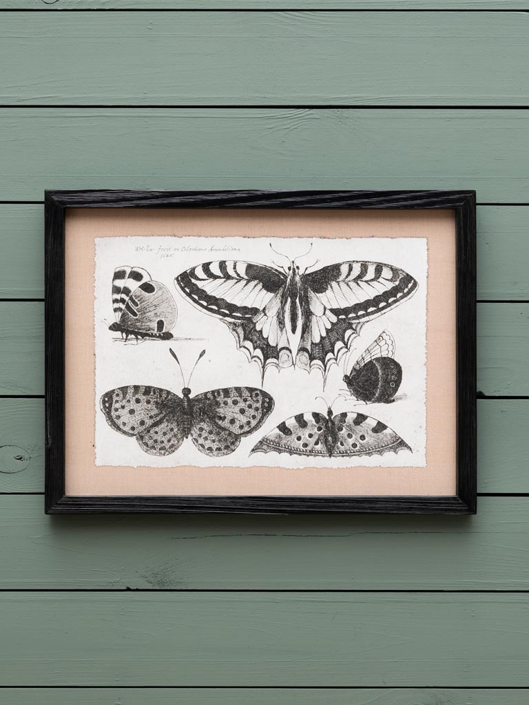 S/4 butterfly frames - 3