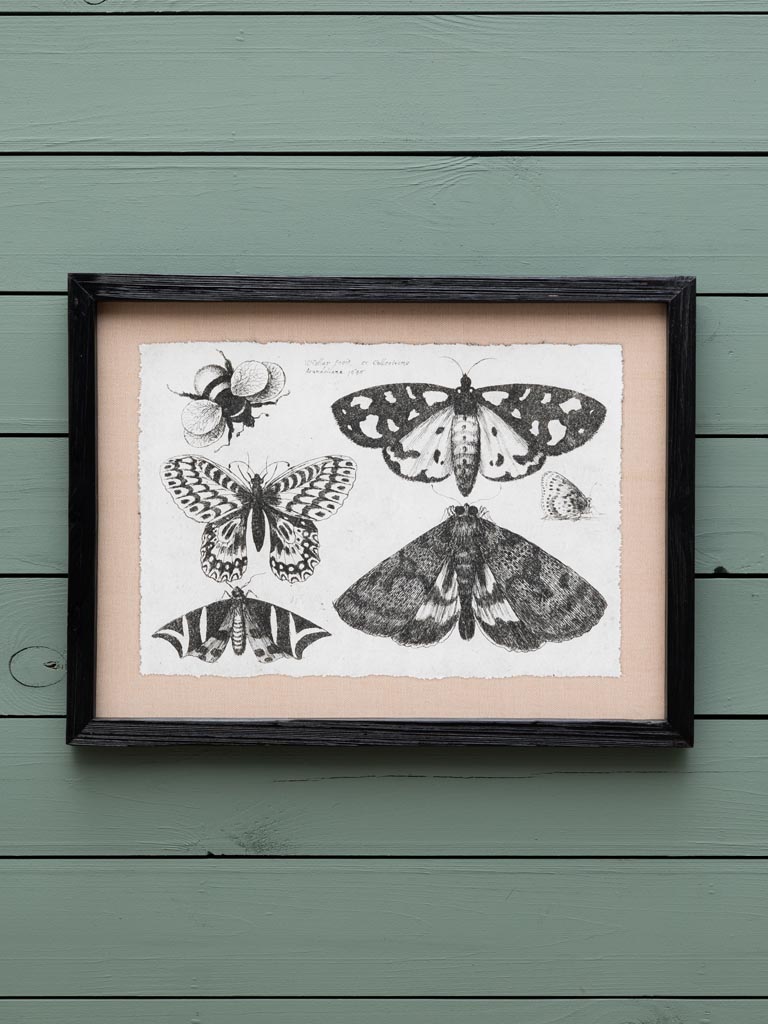 S/4 butterfly frames - 5