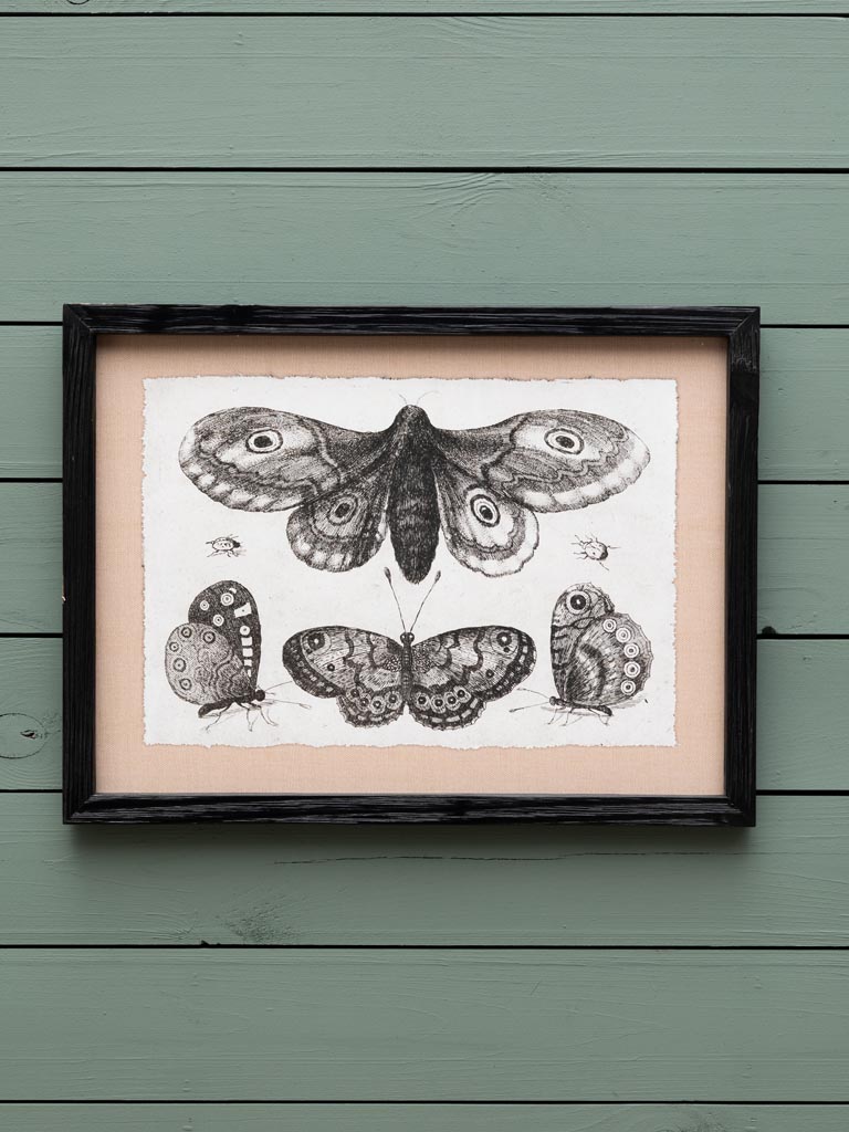 S/4 butterflies frames - 4