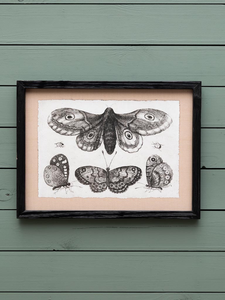 S/4 butterfly frames - 4