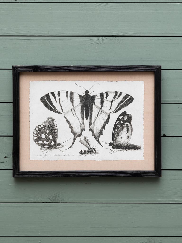 S/4 butterfly frames - 6
