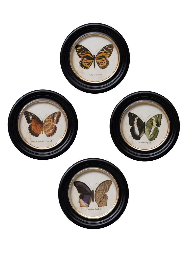 S/4 round frames colored butterfly - 3
