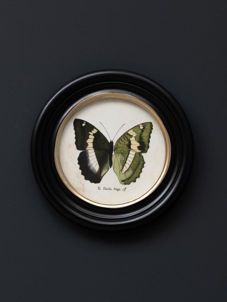S/4 round frames colored butterfly - 6