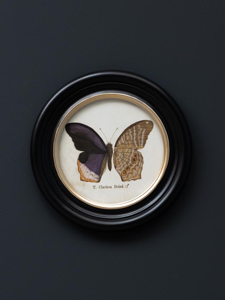 S/4 round frames colored butterfly - 5
