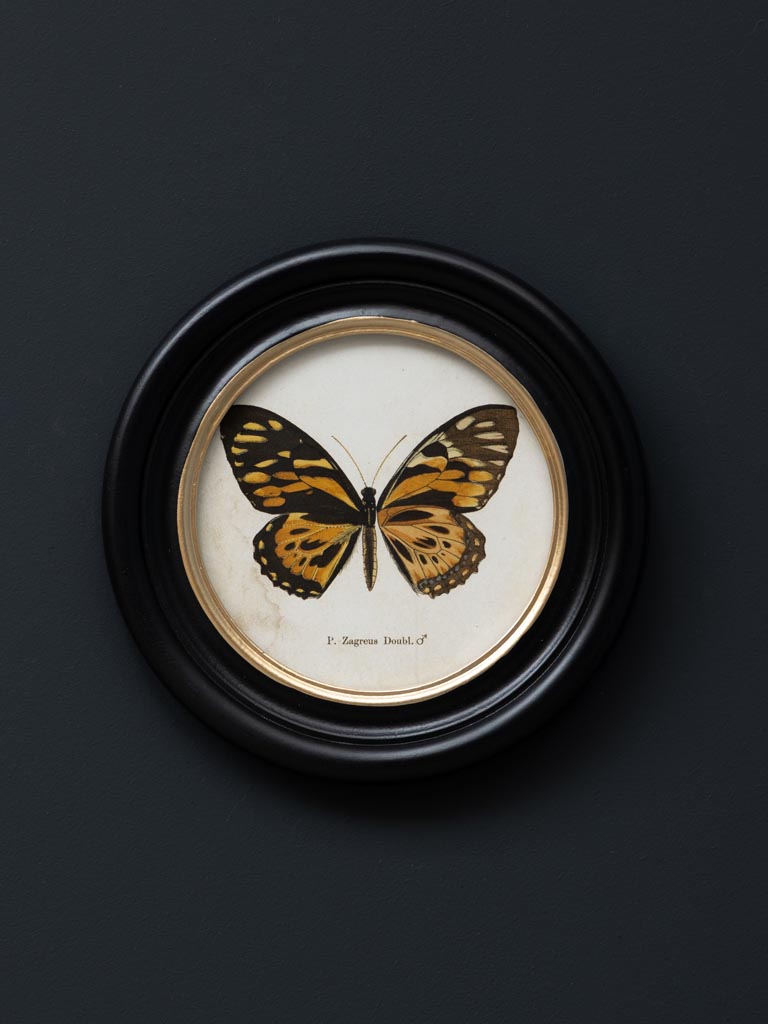 S/4 round frames colored butterfly - 7