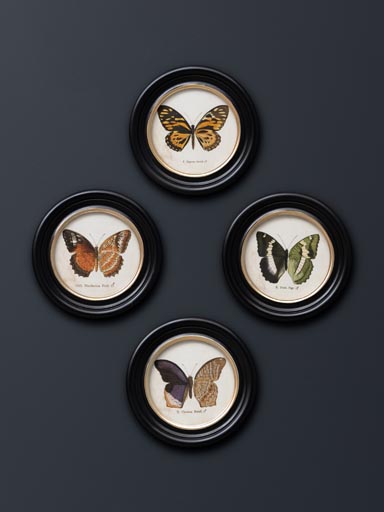 S/4 round colored butterfly frames