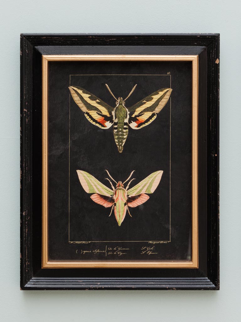 S/2 colored butterfly frames - 3