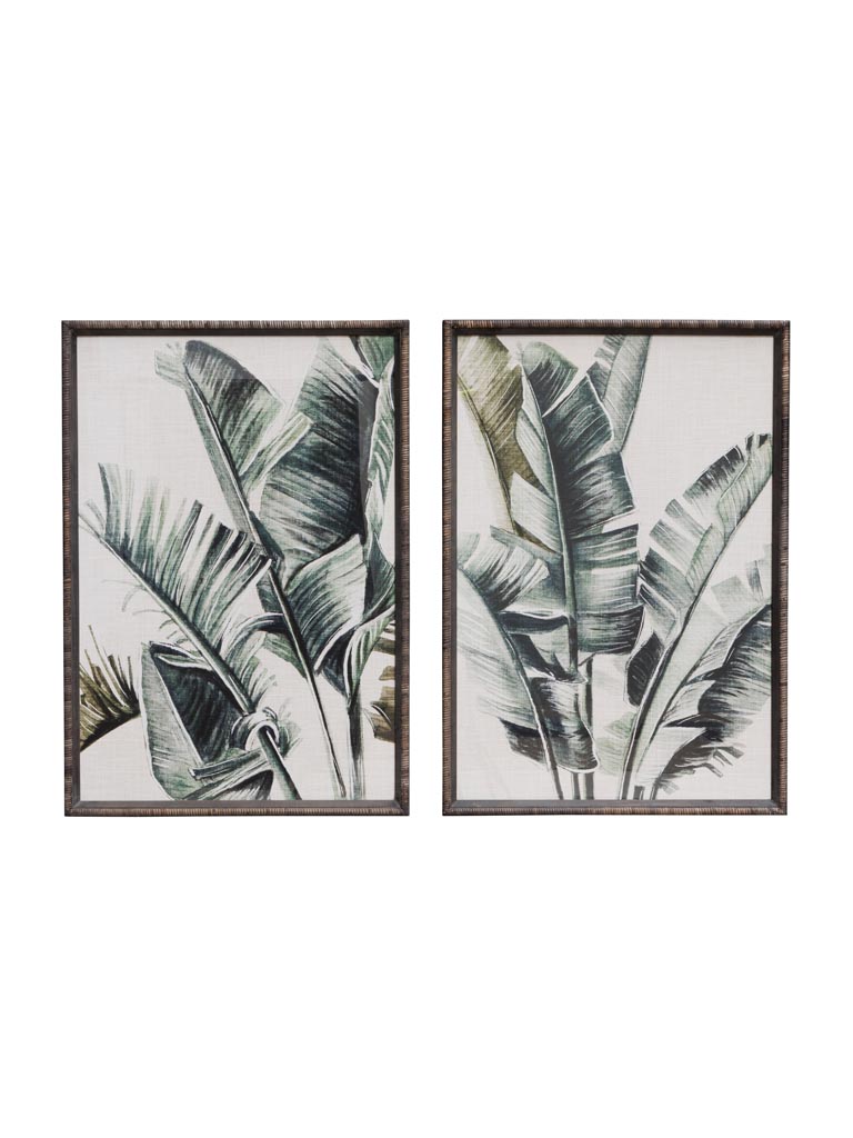 S/2 frames palm trees Veracruz - 2