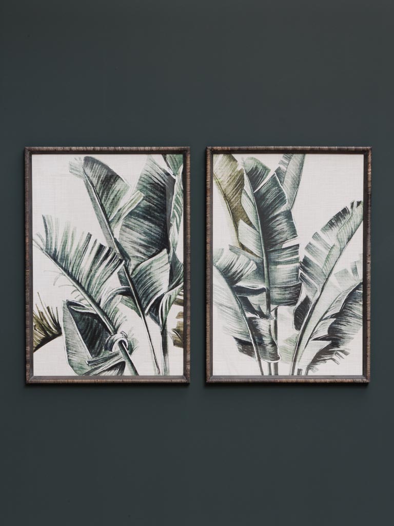 S/2 frames palm trees Veracruz - 1