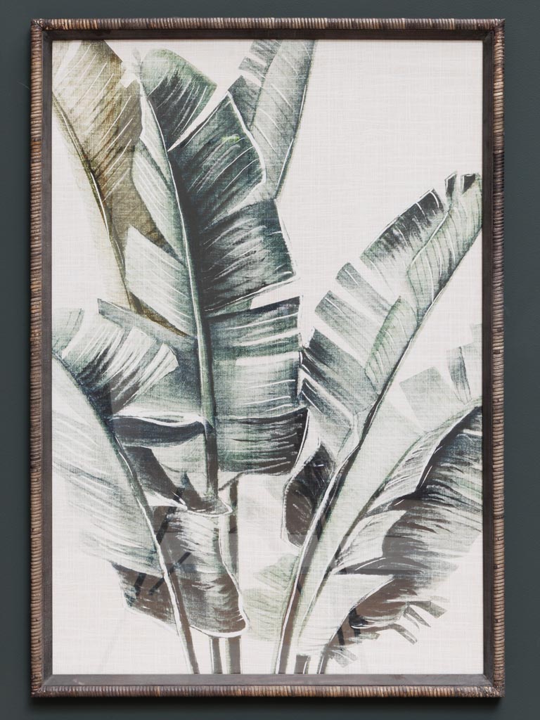 S/2 frames palm trees Veracruz - 3