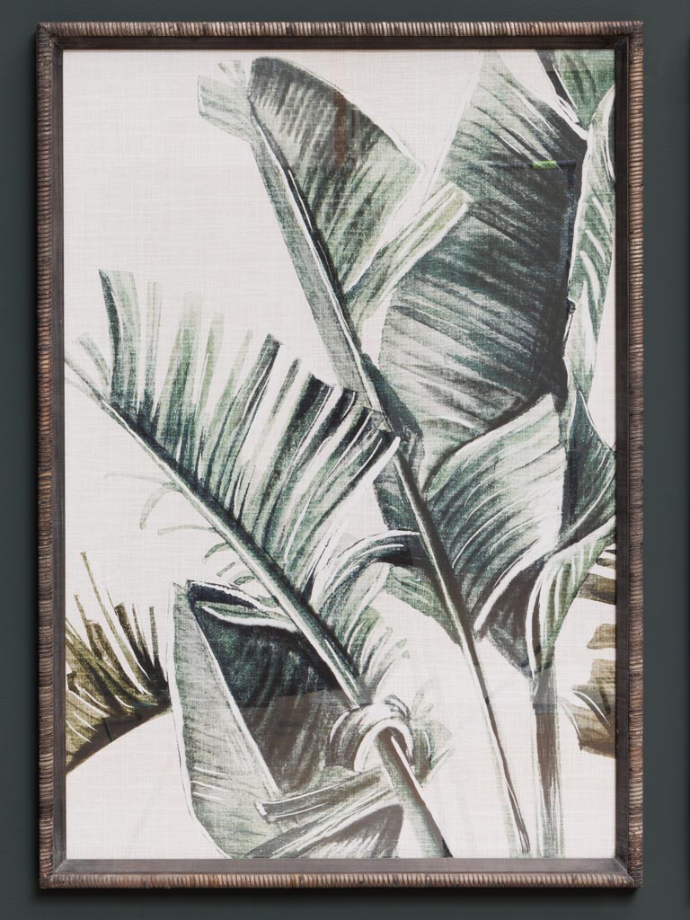 S/2 frames palm trees Veracruz - 5
