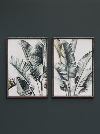 S/2 frames palm trees Veracruz