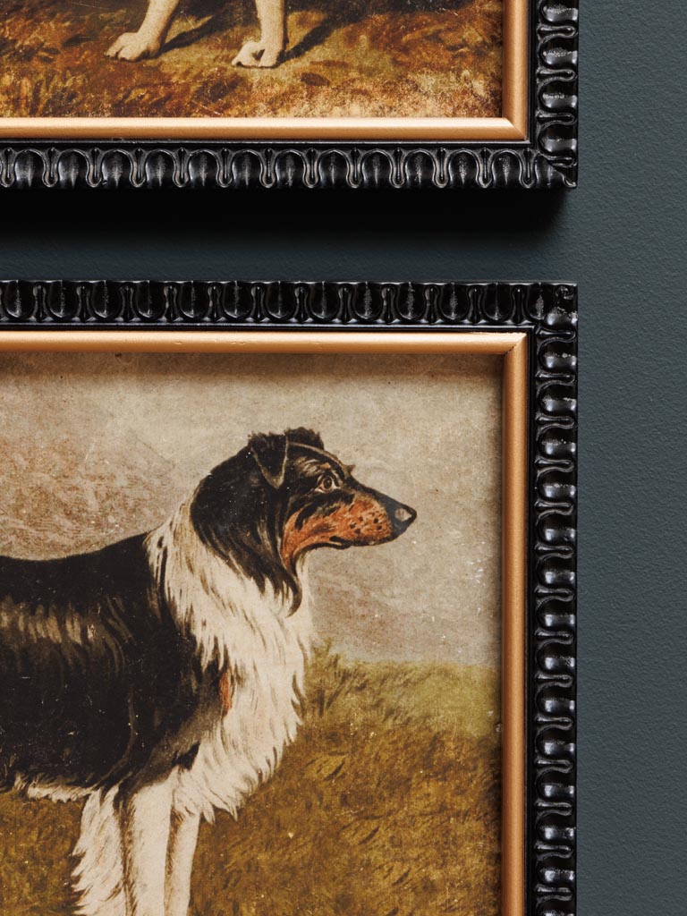 S/2 frames hunt dogs - 3