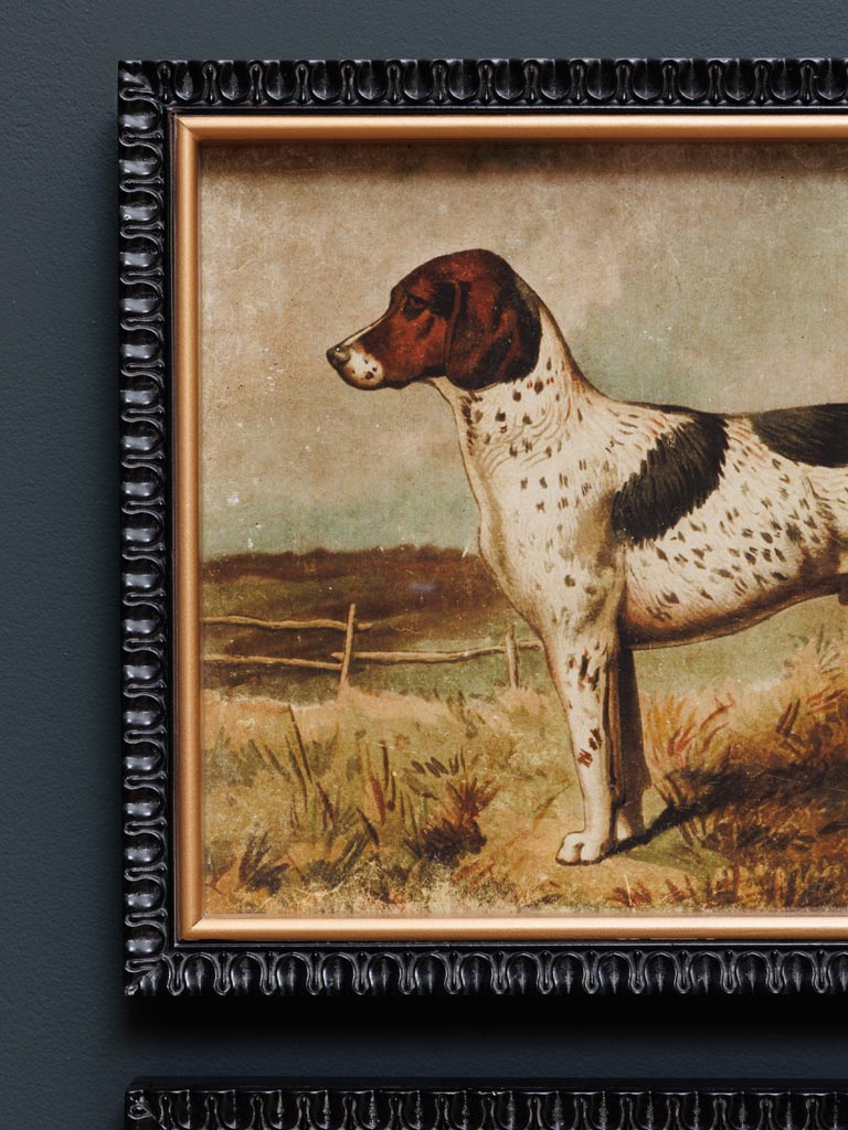 S/2 frames hunt dogs - 4