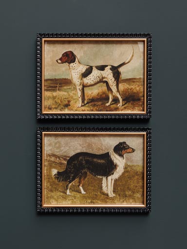 S/2 frames hunt dogs