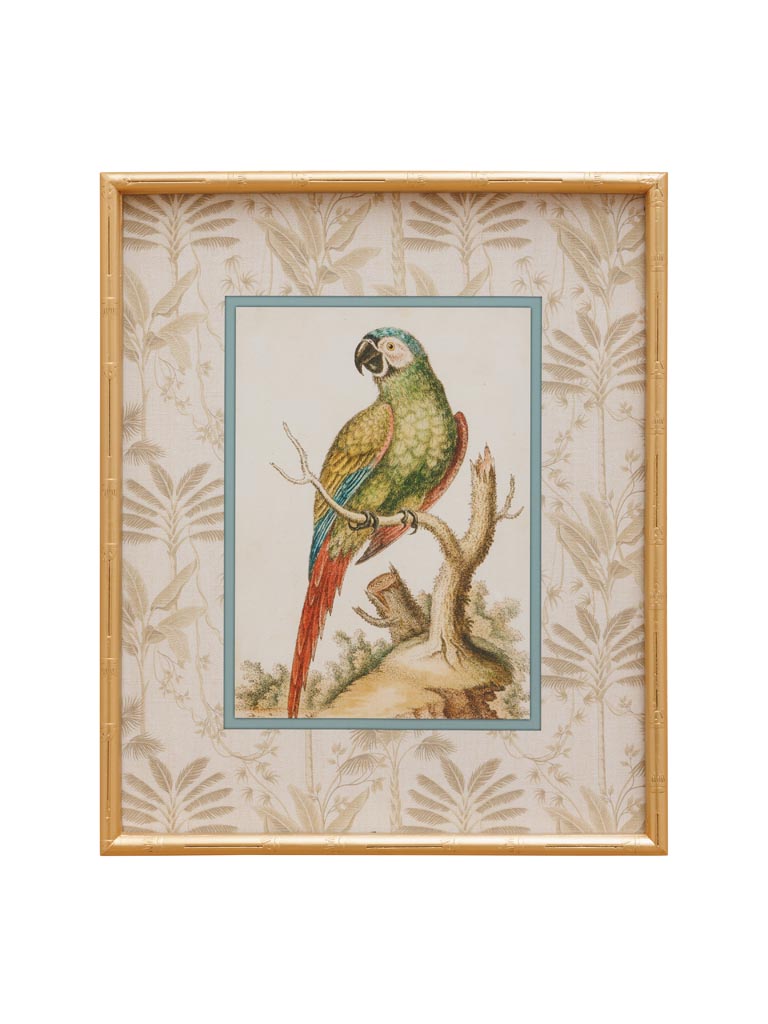 Parrot frame with golden bamboo style edge - 2