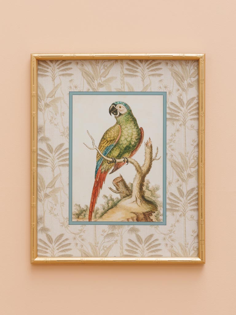 Parrot frame with golden bamboo style edge - 1