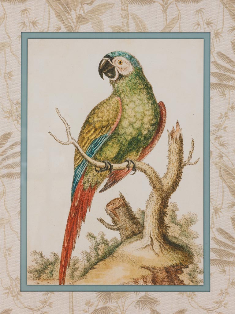 Parrot frame with golden bamboo style edge - 3