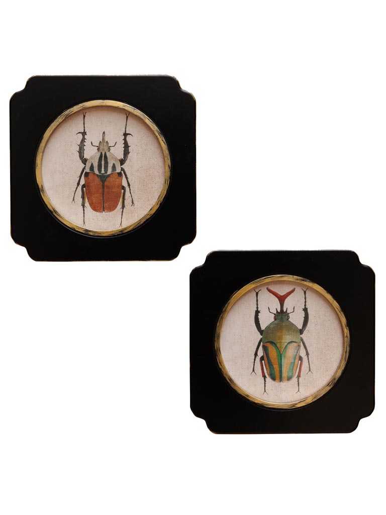 S/2 frames Beetles - 2